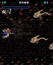 五一吃瓜网最新官方入口,揭秘五一假期热门瓜料，尽在掌握！